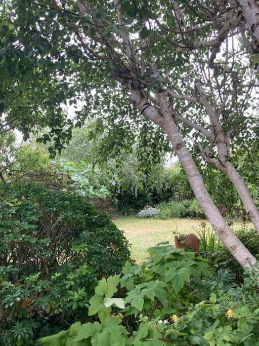 La Maison Rose - Avec Grand Jardin Clos A 300M De La Mer オートヴィル＝シュル＝メール エクステリア 写真