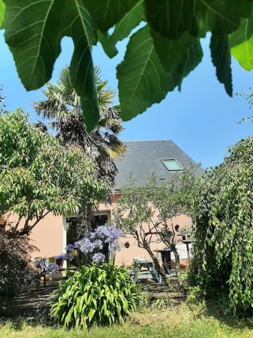 La Maison Rose - Avec Grand Jardin Clos A 300M De La Mer オートヴィル＝シュル＝メール エクステリア 写真